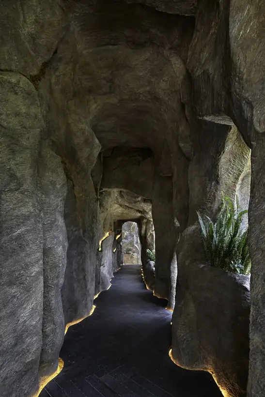 Simbiosis · túnel de roca