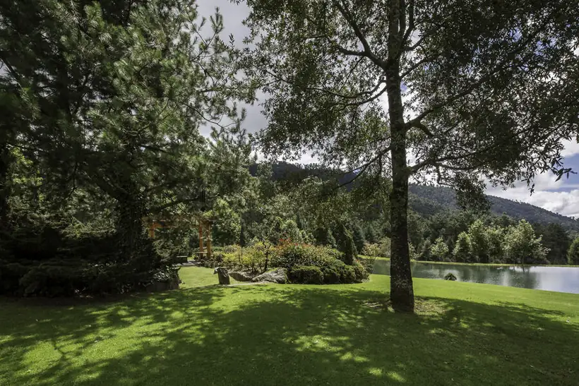 Rancho JM · jardín